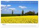 Thumbnail-10