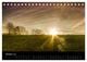 Thumbnail-12