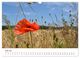 Thumbnail-12