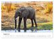 Thumbnail-12