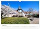 Thumbnail-8