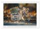 Thumbnail-13