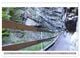 Thumbnail-12