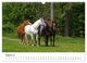 Thumbnail-13