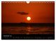 Thumbnail-14