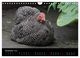 Thumbnail-14