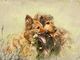 Thumbnail-2
