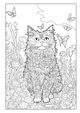 Thumbnail-2
