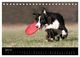 Thumbnail-9