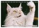 Thumbnail-7