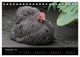 Thumbnail-14