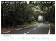 Thumbnail-14