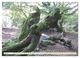 Thumbnail-11