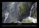 Thumbnail-11