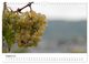 Thumbnail-10
