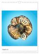 Thumbnail-13