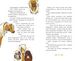 Thumbnail-3