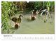 Thumbnail-11