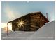 Thumbnail-8
