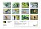 Thumbnail-9