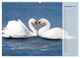 Thumbnail-10