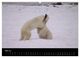Thumbnail-10