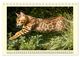Thumbnail-13