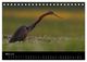 Thumbnail-8