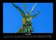 Thumbnail-10