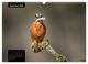 Thumbnail-11