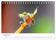 Thumbnail-13
