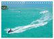 Thumbnail-12