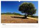 Thumbnail-10