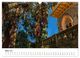 Thumbnail-8
