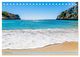 Thumbnail-11