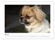 Thumbnail-10