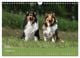 Thumbnail-12
