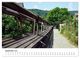Thumbnail-13