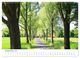 Thumbnail-11