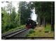 Thumbnail-10