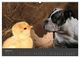 Thumbnail-9