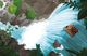 Thumbnail-10