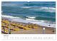 Thumbnail-12