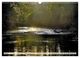 Thumbnail-12