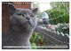 Thumbnail-12