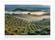 Thumbnail-13