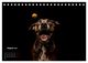 Thumbnail-10