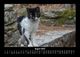 Thumbnail-12