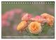Thumbnail-12