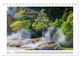 Thumbnail-12